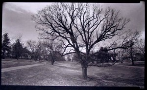 Image description is not available for 1997.004